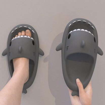Premium Shark Slides pick your product india