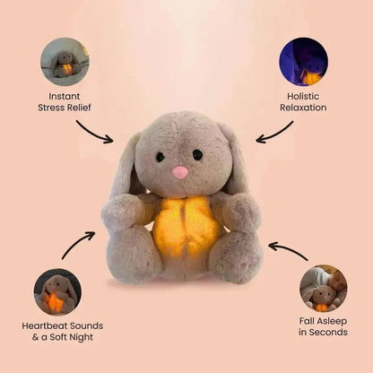 Sleppy Teddy pick your product