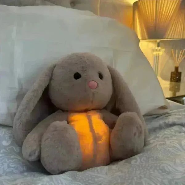 Sleppy Teddy pick your product
